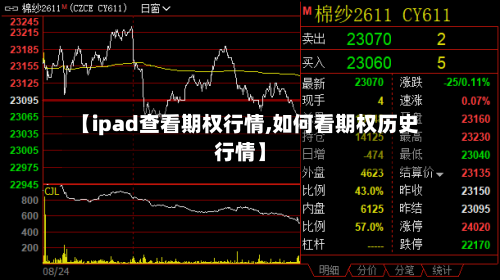 【ipad查看期权行情,如何看期权历史行情】-第3张图片