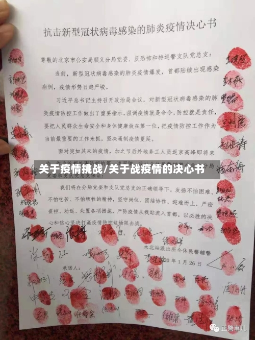 关于疫情挑战/关于战疫情的决心书