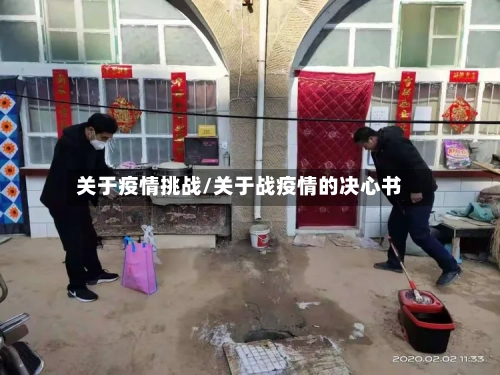 关于疫情挑战/关于战疫情的决心书-第3张图片