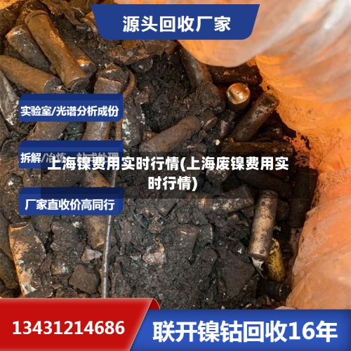上海镍费用实时行情(上海废镍费用实时行情)-第3张图片