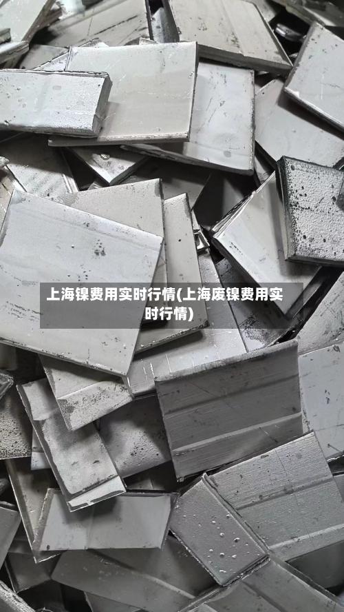 上海镍费用实时行情(上海废镍费用实时行情)-第2张图片