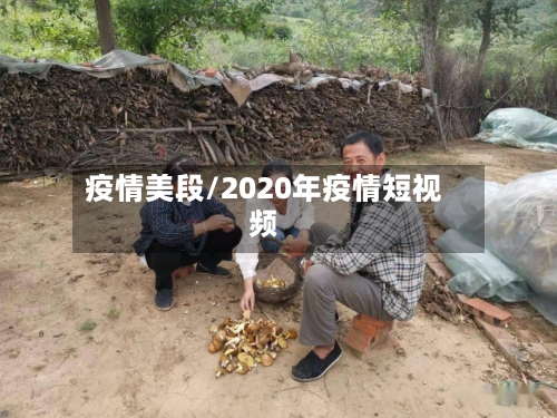 疫情美段/2020年疫情短视频