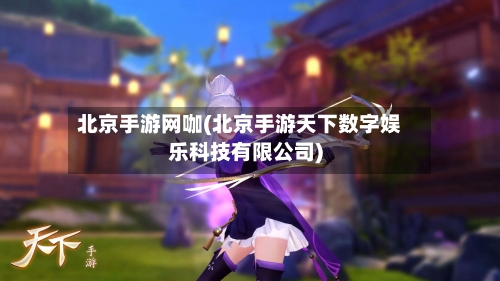 北京手游网咖(北京手游天下数字娱乐科技有限公司)