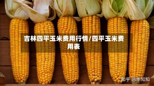 吉林四平玉米费用行情/四平玉米费用表