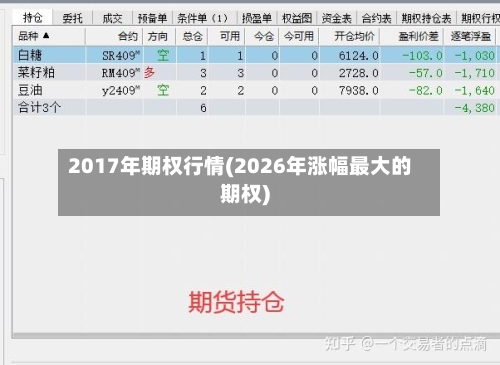 2017年期权行情(2026年涨幅最大的期权)-第2张图片