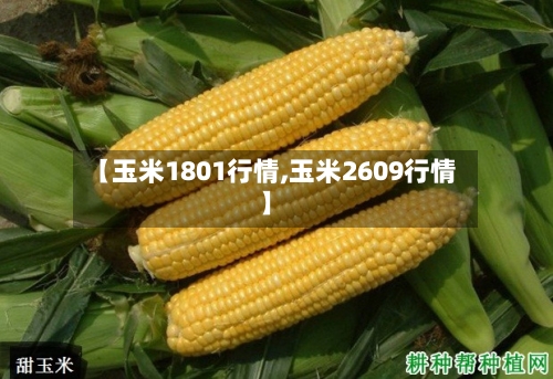 【玉米1801行情,玉米2609行情】-第2张图片