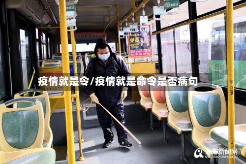 疫情就是令/疫情就是命令是否病句