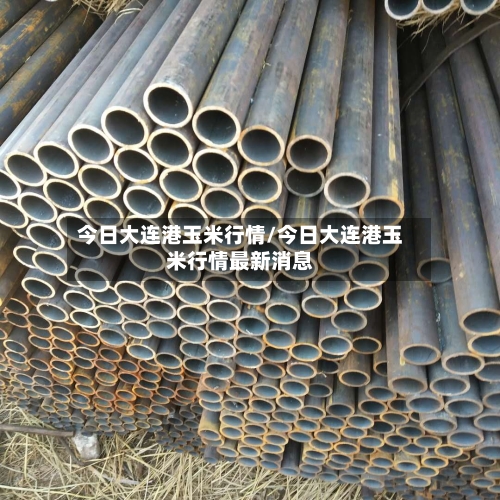 今日大连港玉米行情/今日大连港玉米行情最新消息-第3张图片