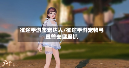 征途手游鉴宠达人/征途手游宠物弓灵兽去哪里抓