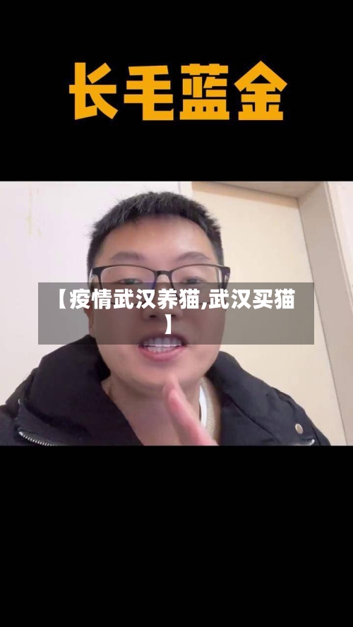 【疫情武汉养猫,武汉买猫】