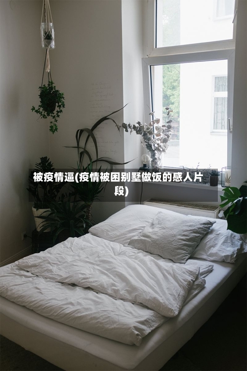 被疫情逼(疫情被困别墅做饭的感人片段)-第2张图片