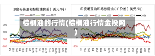 棕榈油的行情(棕榈油行情金投网)