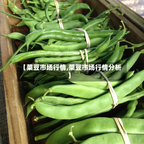 【菜豆市场行情,菜豆市场行情分析】-第2张图片