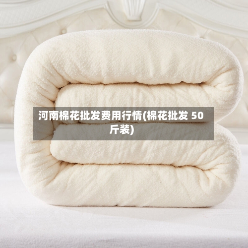 河南棉花批发费用行情(棉花批发 50斤装)