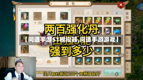【问道手游51模拟器,问道手游游戏】