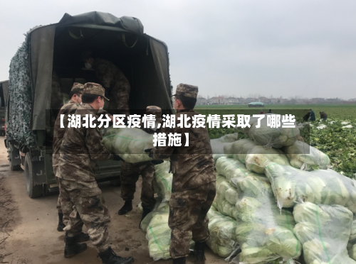 【湖北分区疫情,湖北疫情采取了哪些措施】-第2张图片
