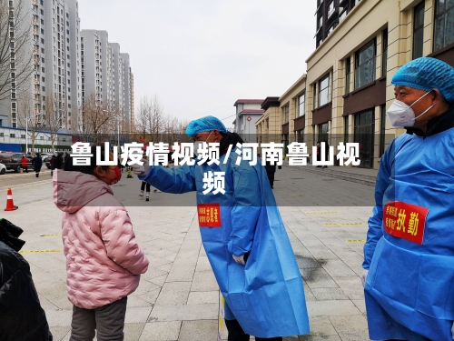 鲁山疫情视频/河南鲁山视频