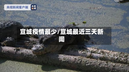 宣城疫情最少/宣城最近三天新闻-第3张图片