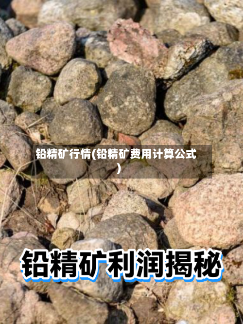 铅精矿行情(铅精矿费用计算公式)