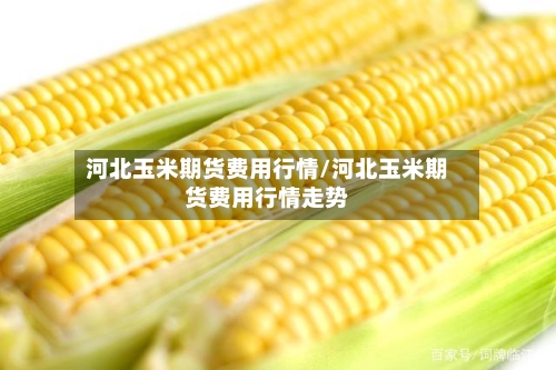 河北玉米期货费用行情/河北玉米期货费用行情走势-第3张图片