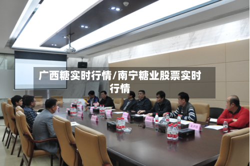 广西糖实时行情/南宁糖业股票实时行情