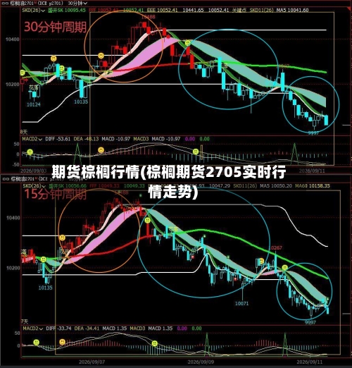 期货棕榈行情(棕榈期货2705实时行情走势)-第3张图片