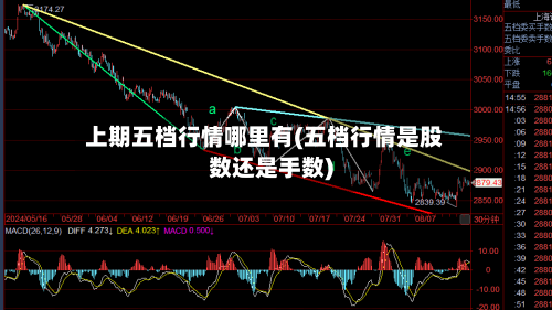 上期五档行情哪里有(五档行情是股数还是手数)