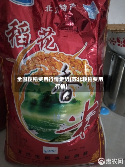 全国粳稻费用行情走势(苏北粳稻费用行情)