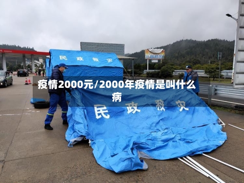 疫情2000元/2000年疫情是叫什么病-第3张图片