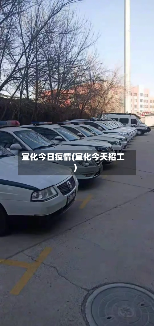 宣化今日疫情(宣化今天招工)-第2张图片