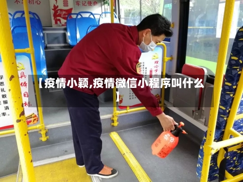 【疫情小颖,疫情微信小程序叫什么】-第2张图片