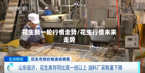 花生新一轮行情走势/花生行情未来走势