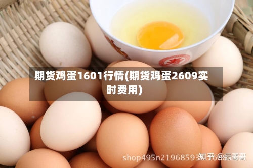 期货鸡蛋1601行情(期货鸡蛋2609实时费用)