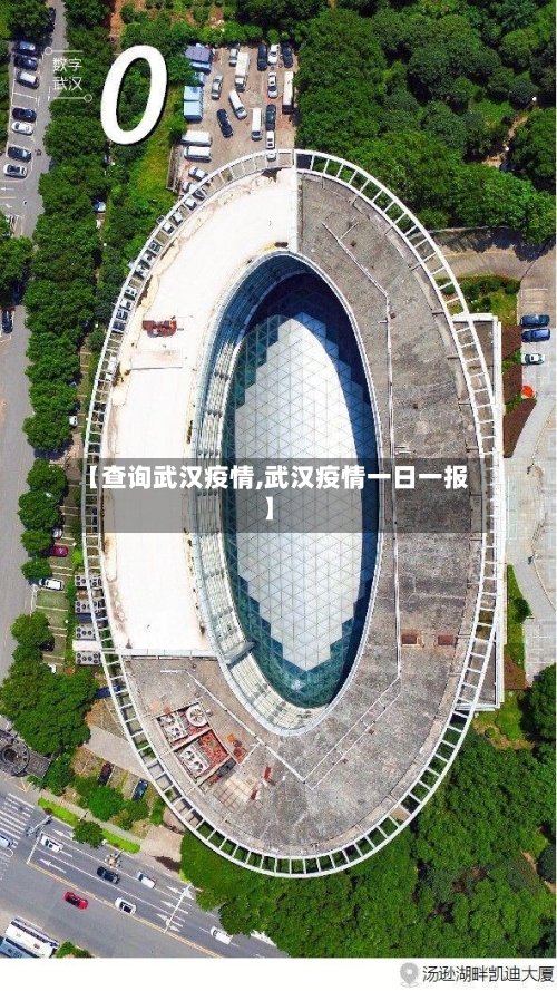 【查询武汉疫情,武汉疫情一日一报】-第2张图片