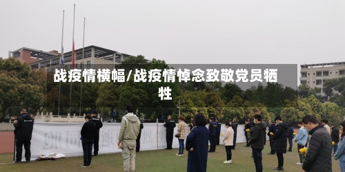 战疫情横幅/战疫情悼念致敬党员牺牲