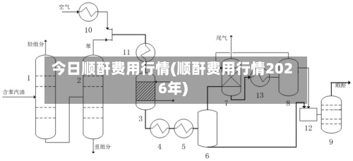 今日顺酐费用行情(顺酐费用行情2026年)-第2张图片