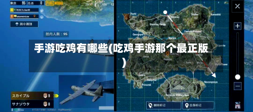 手游吃鸡有哪些(吃鸡手游那个最正版)-第2张图片