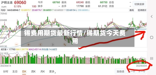 锡费用期货最新行情/锡期货今天费用-第3张图片