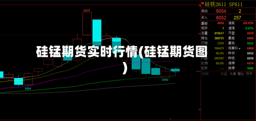 硅锰期货实时行情(硅锰期货图)