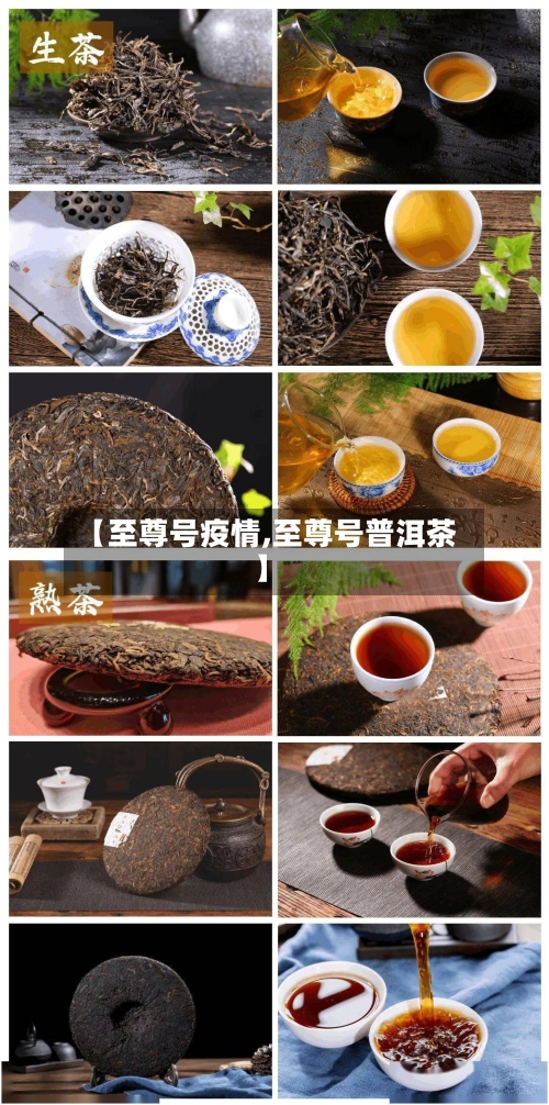 【至尊号疫情,至尊号普洱茶】