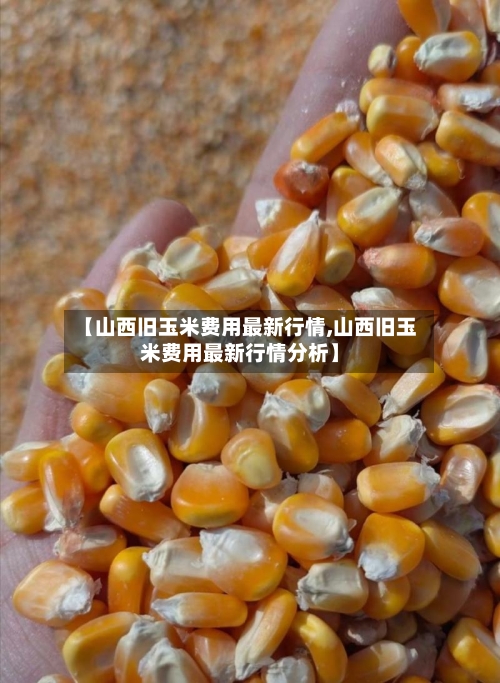【山西旧玉米费用最新行情,山西旧玉米费用最新行情分析】-第2张图片