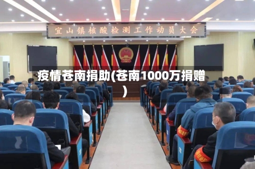 疫情苍南捐助(苍南1000万捐赠)-第2张图片