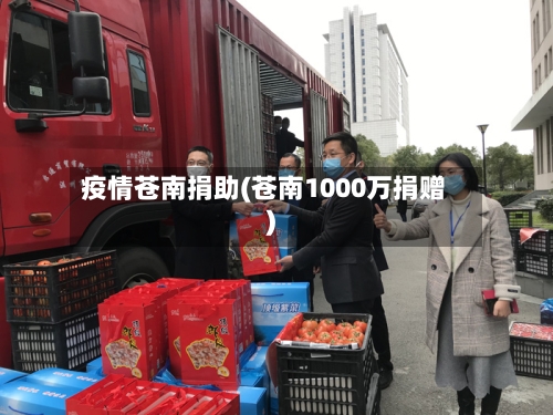 疫情苍南捐助(苍南1000万捐赠)-第3张图片