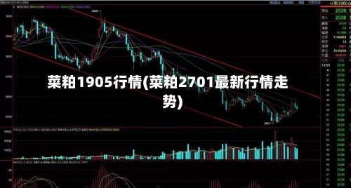菜粕1905行情(菜粕2701最新行情走势)