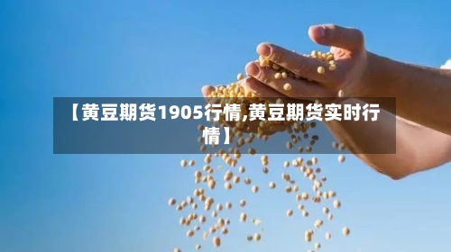 【黄豆期货1905行情,黄豆期货实时行情】