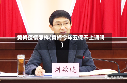 黄梅疫情怎样(黄梅今年五保不上调吗)-第2张图片
