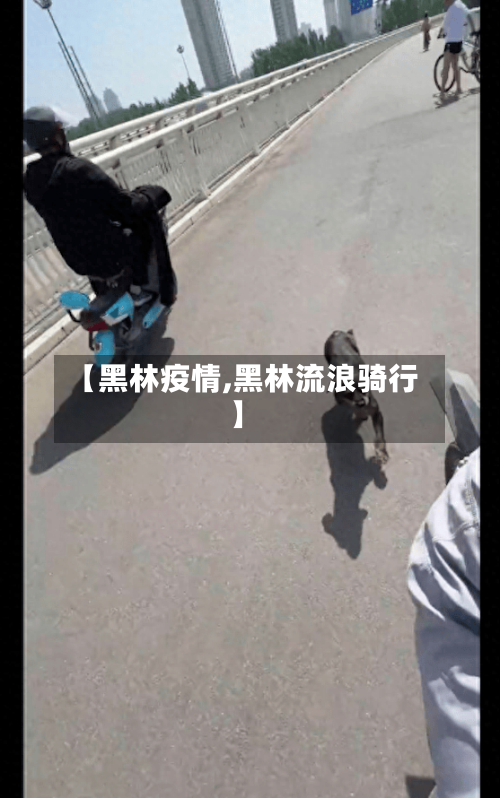 【黑林疫情,黑林流浪骑行】-第3张图片