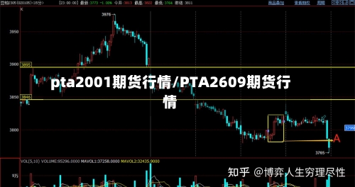 pta2001期货行情/PTA2609期货行情