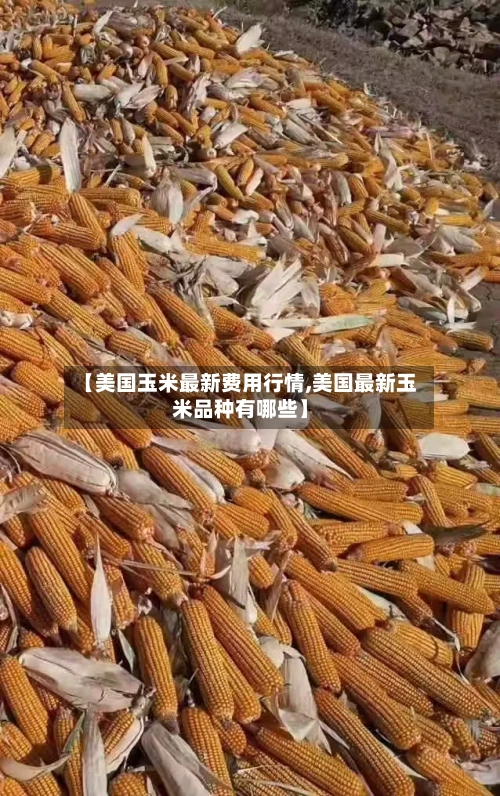 【美国玉米最新费用行情,美国最新玉米品种有哪些】
