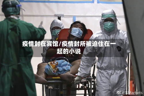 疫情封在宾馆/疫情封所被迫住在一起的小说